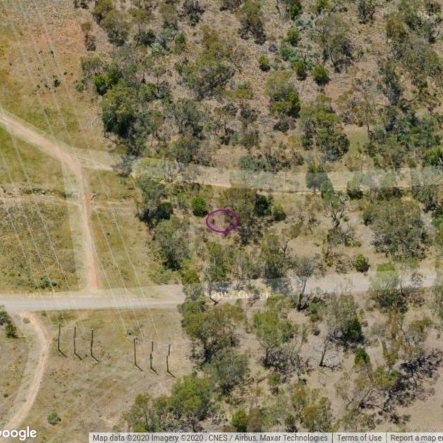 FMC180: Mt Majura, Grassy swampy section of creek