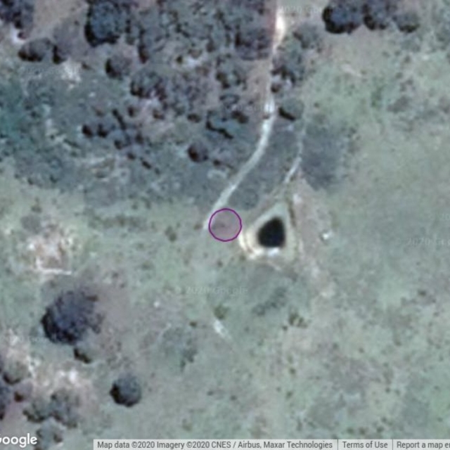 GAR200: Garuwanga site 2, hooded robin dam, Nimmatabel