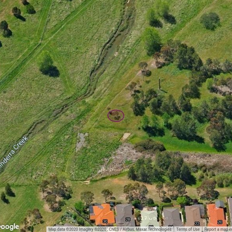 GFW002: Nicholls, Stormwater drain into Gungahlin Pond