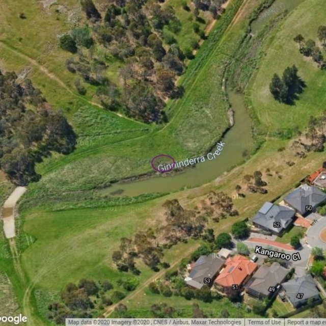 GIN005: Ginninderra Creek at Percival Hill Nature Reserve, Nicholls