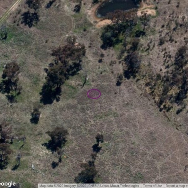 KAM300: Kama Horse Paddocks, Dam 3, off William Hovell drive, Aranda