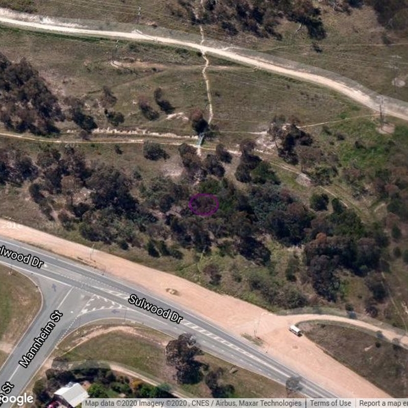 TAY500: Mt Taylor Drainage Line adj Manheim