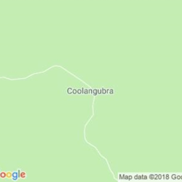 Coolangubra, NSW field guide