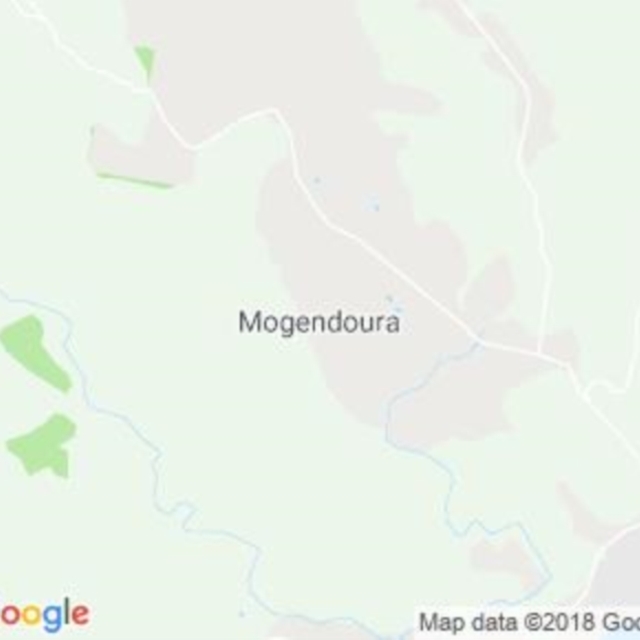 Mogendoura, NSW field guide
