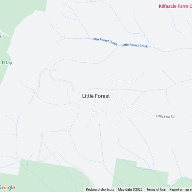 Little Forest, NSW field guide