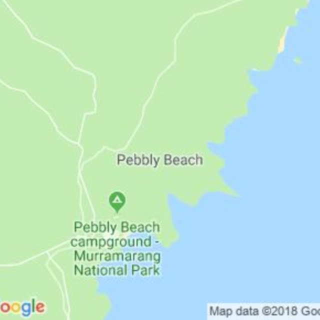 Pebbly Beach, NSW field guide
