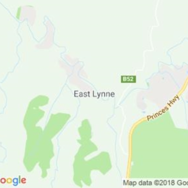 East Lynne, NSW field guide