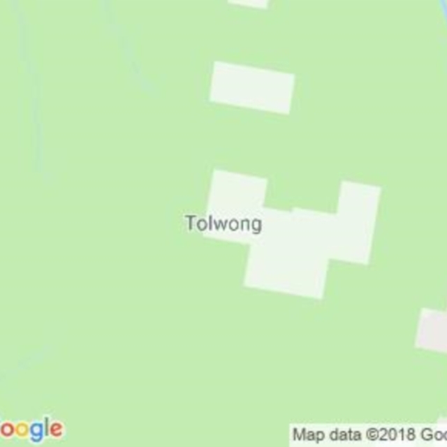 Tolwong, NSW field guide