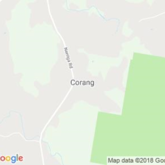 Corang, NSW field guide