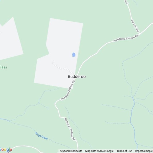Budderoo, NSW field guide