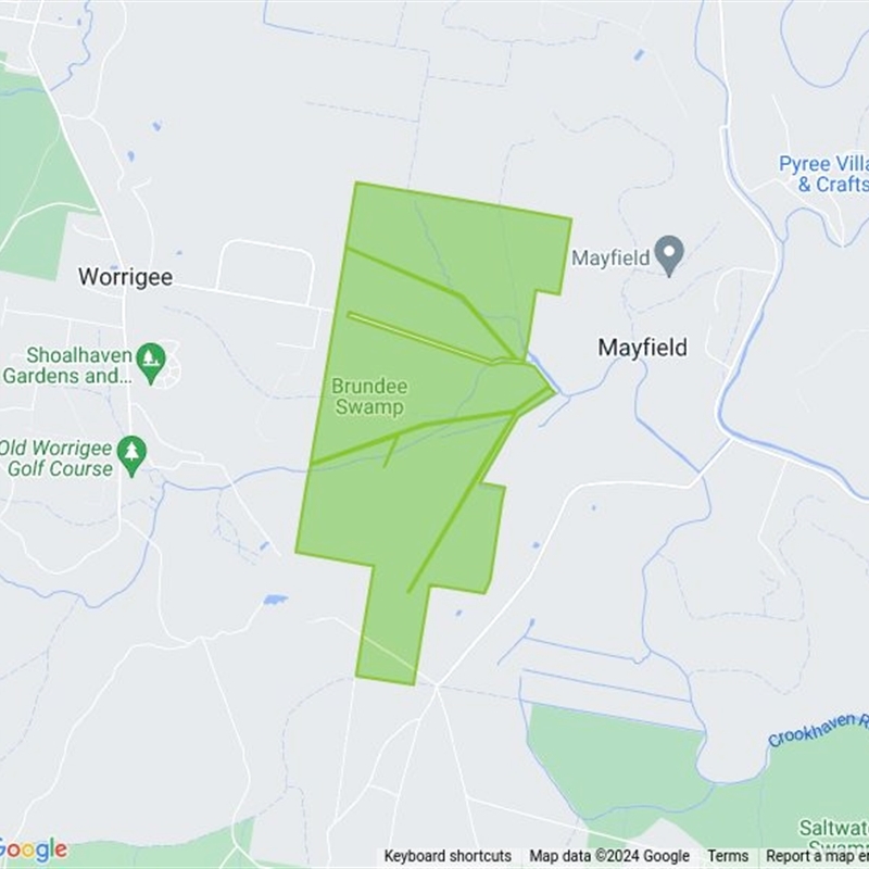 Brundee Swamp Nature Reserve field guide