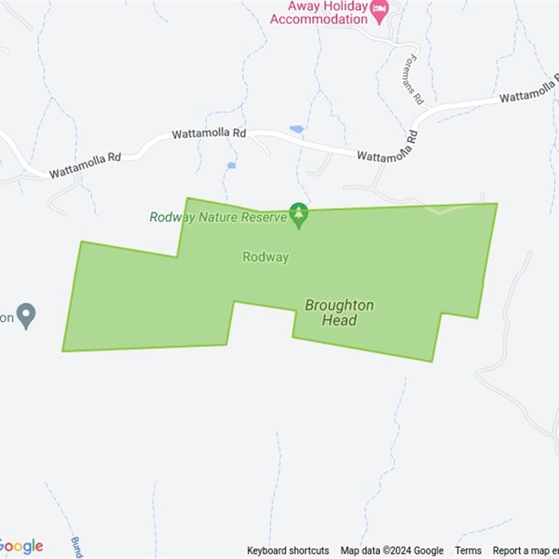 Rodway Nature Reserve field guide