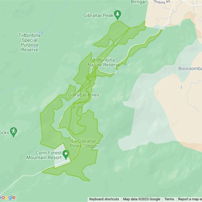 Gibraltar Pines field guide