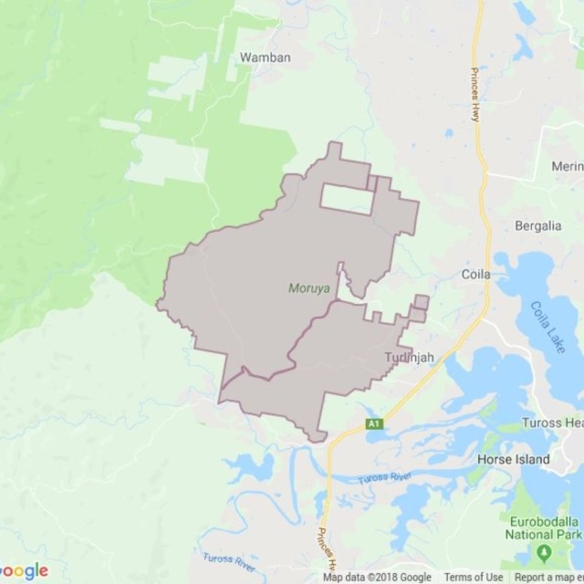 Moruya State Forest field guide