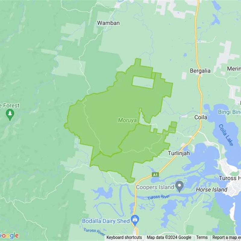 Moruya State Forest field guide