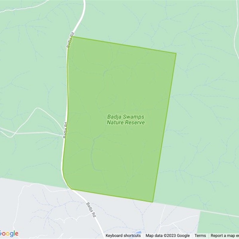 Badja Swamps Nature Reserve