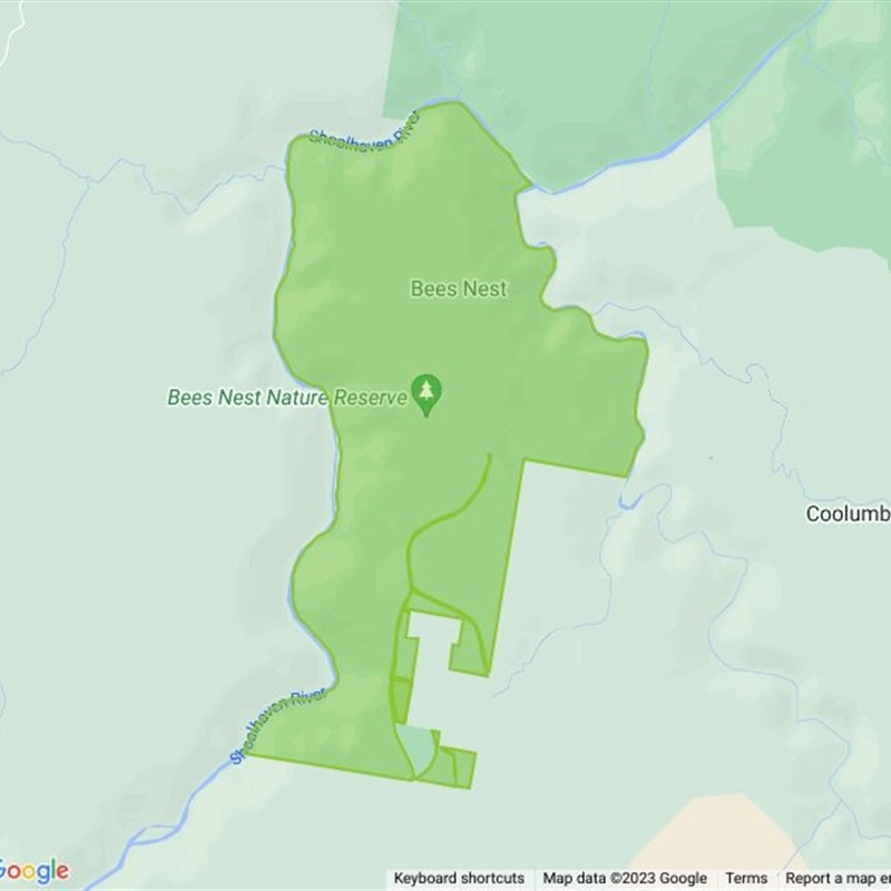 Bees Nest Nature Reserve field guide