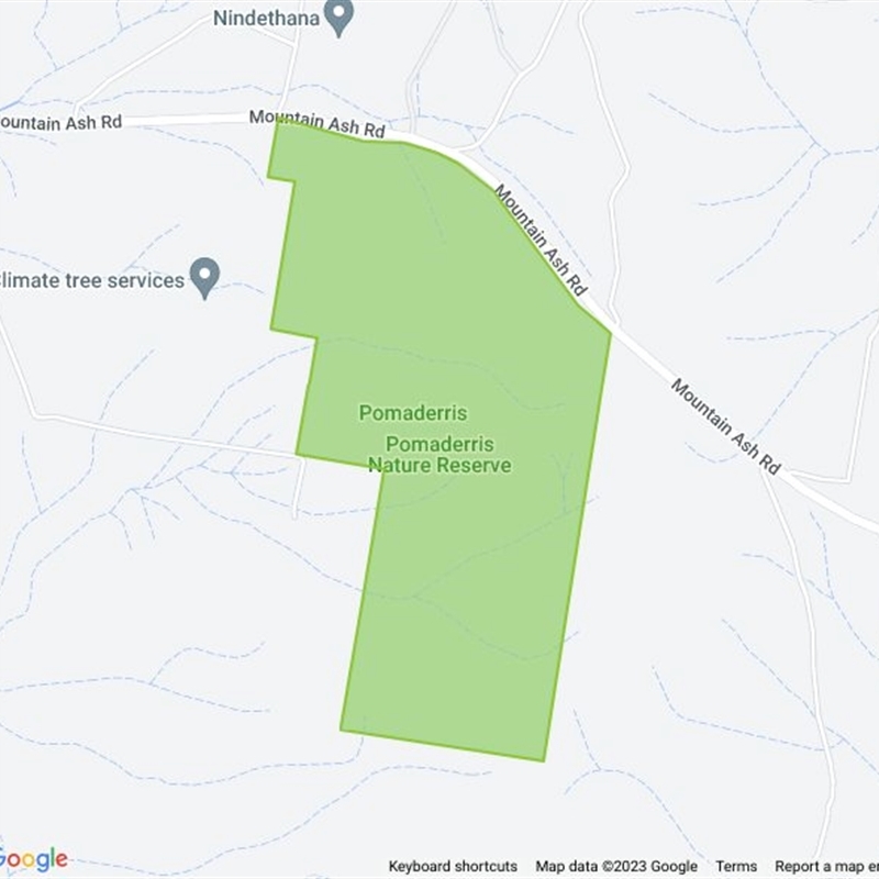 Pomaderris Nature Reserve field guide