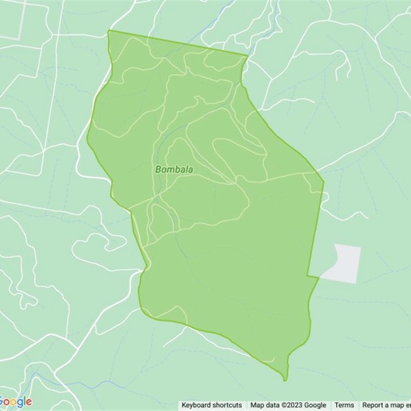 Bombala State Forest