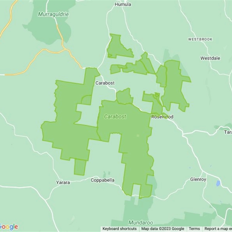 Carabost State Forest field guide