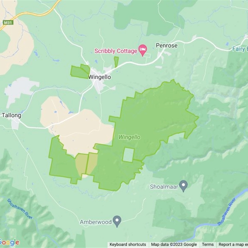 Wingello State Forest