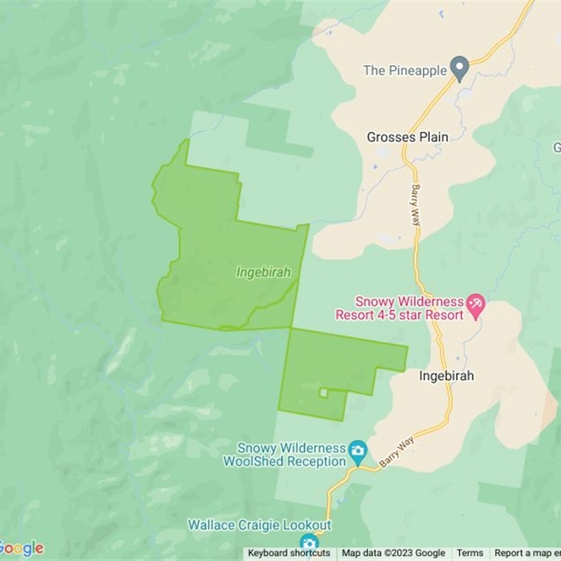 Ingebirah State Forest