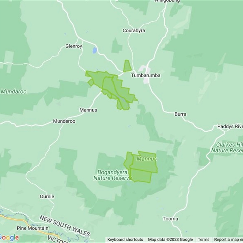 Mannus State Forest field guide