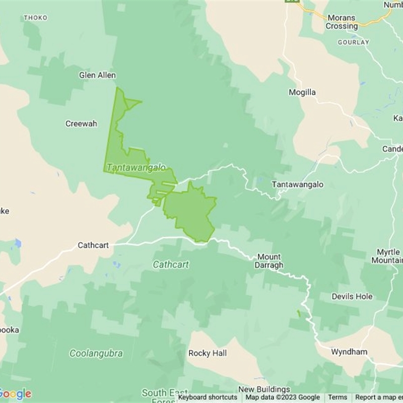 Tantawangalo State Forest field guide