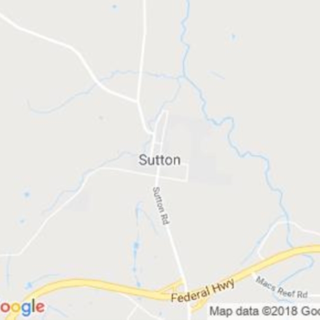 Sutton, NSW field guide