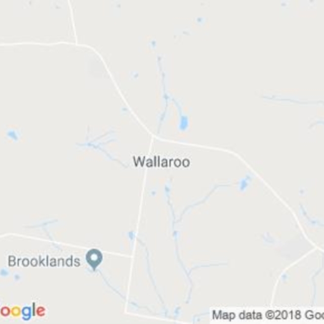 Wallaroo, NSW field guide