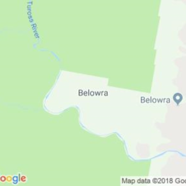 Belowra, NSW field guide