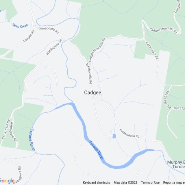 Cadgee, NSW field guide