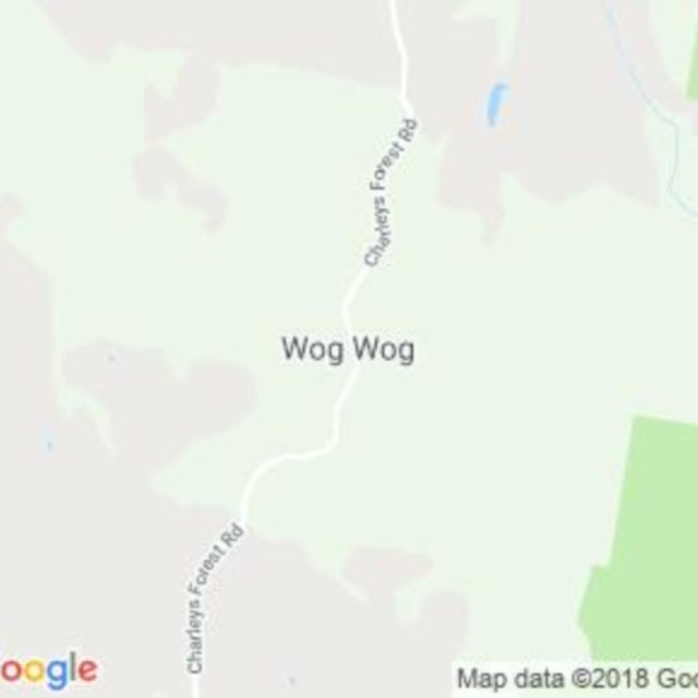 Wog Wog, NSW field guide