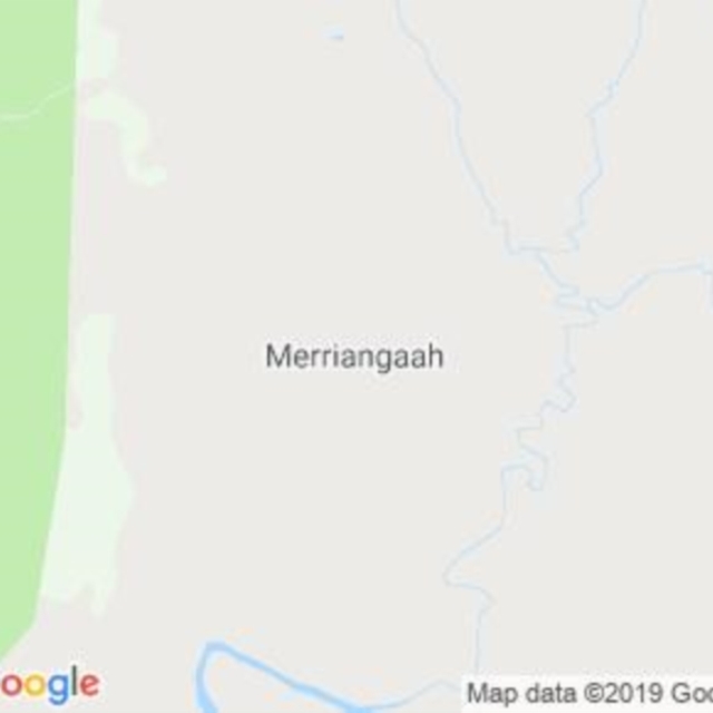 Merriangaah, NSW field guide