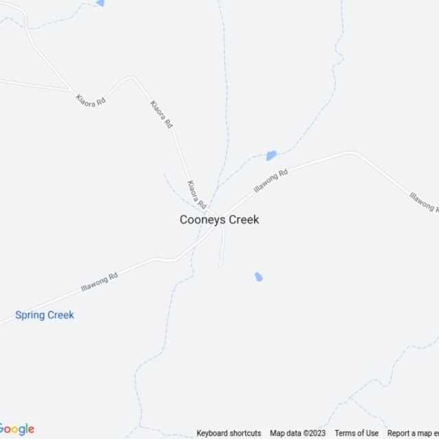 Cooneys Creek, NSW field guide