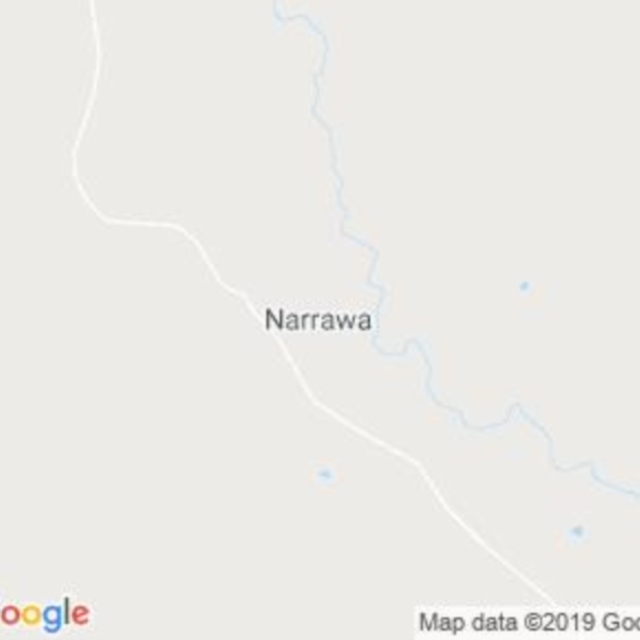 Narrawa, NSW field guide