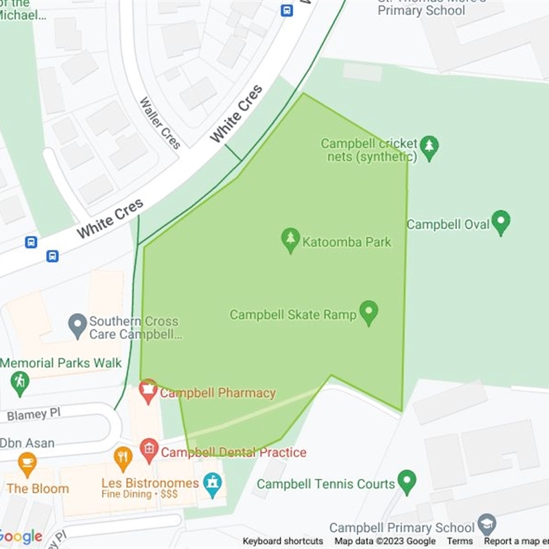 Katoomba Park, Campbell field guide