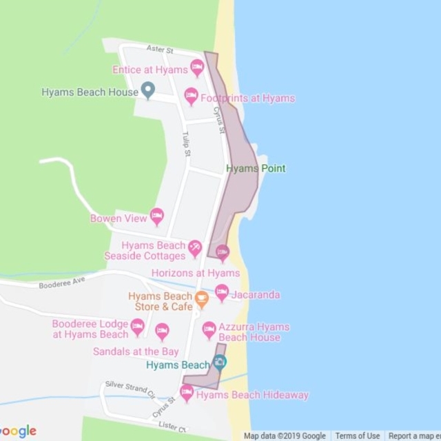 Hyams Beach Bushcare field guide