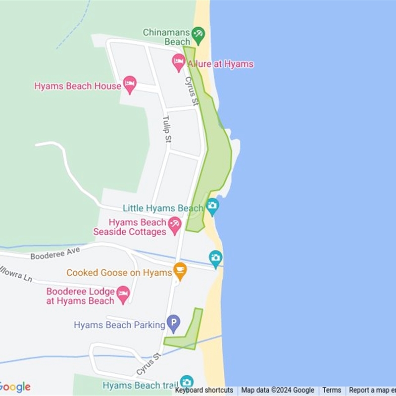 Hyams Beach Bushcare field guide