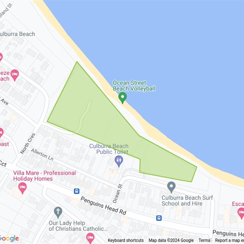 Culburra Beach - Penguin Head Bushcare