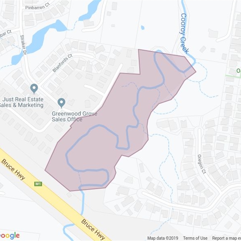 Ashgrove Bushland Reserve field guide