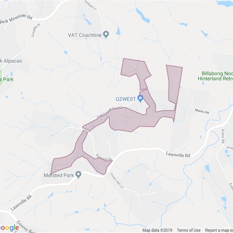 Booyong Drive Bushland Reserve field guide