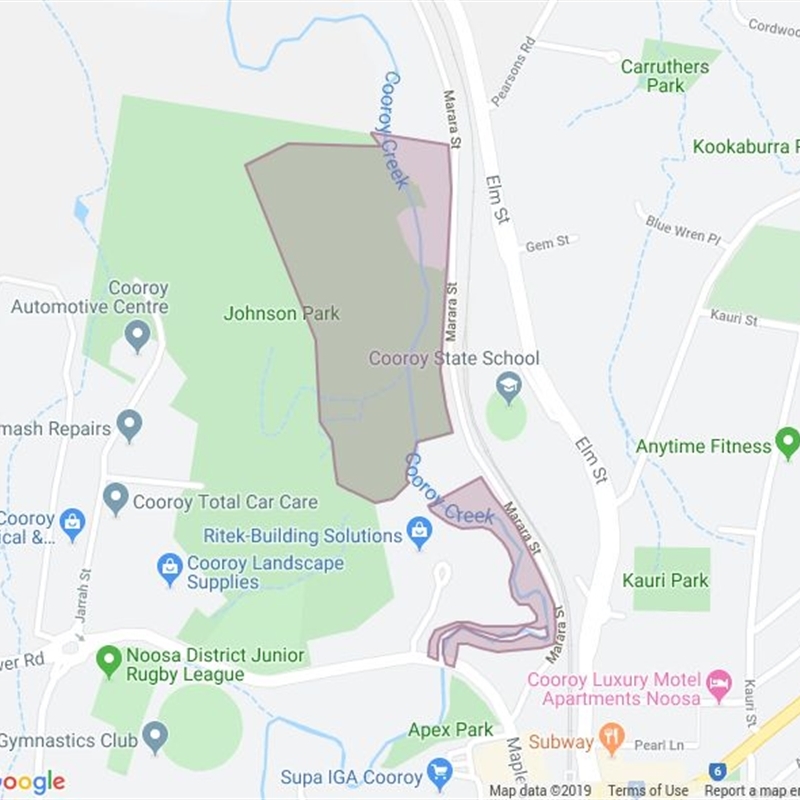 Cooroy Creek Bushland Reserve - Marara Street field guide