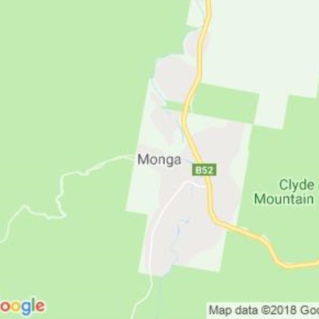 Monga, NSW field guide