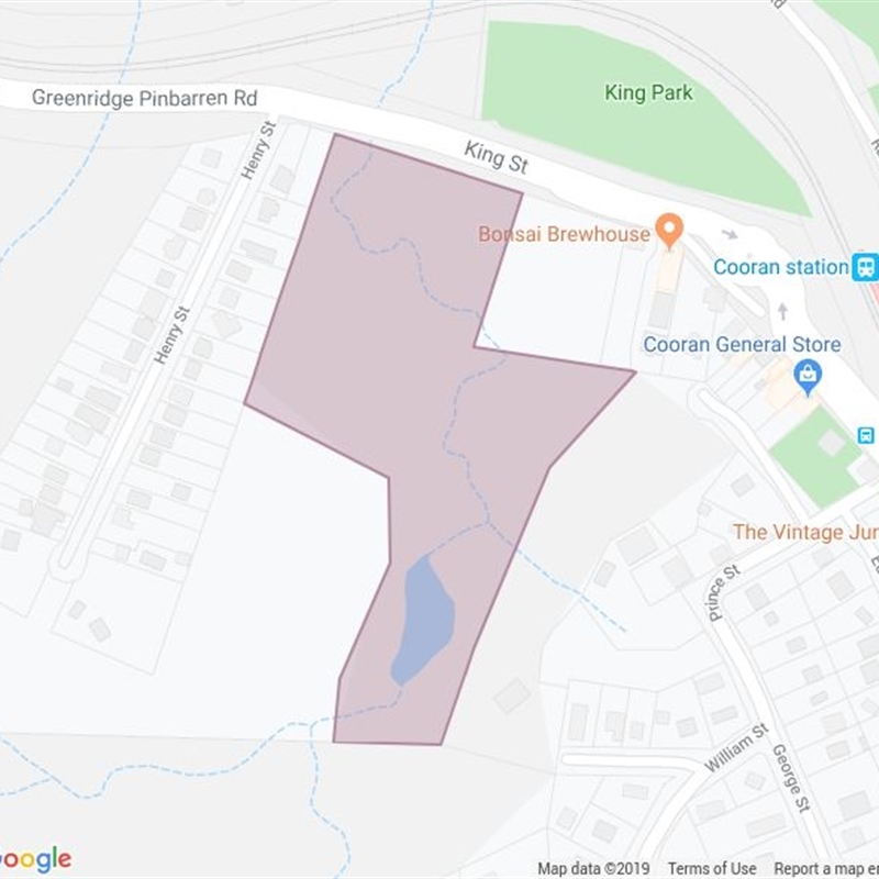 Kings St Bushland Reserve field guide