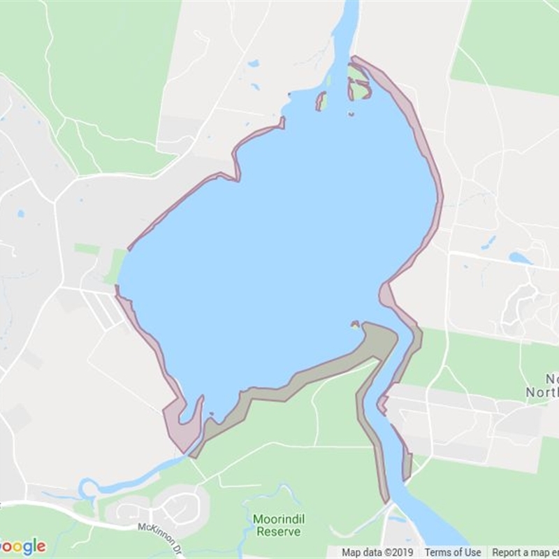 Lake Cooroibah Esplanade field guide