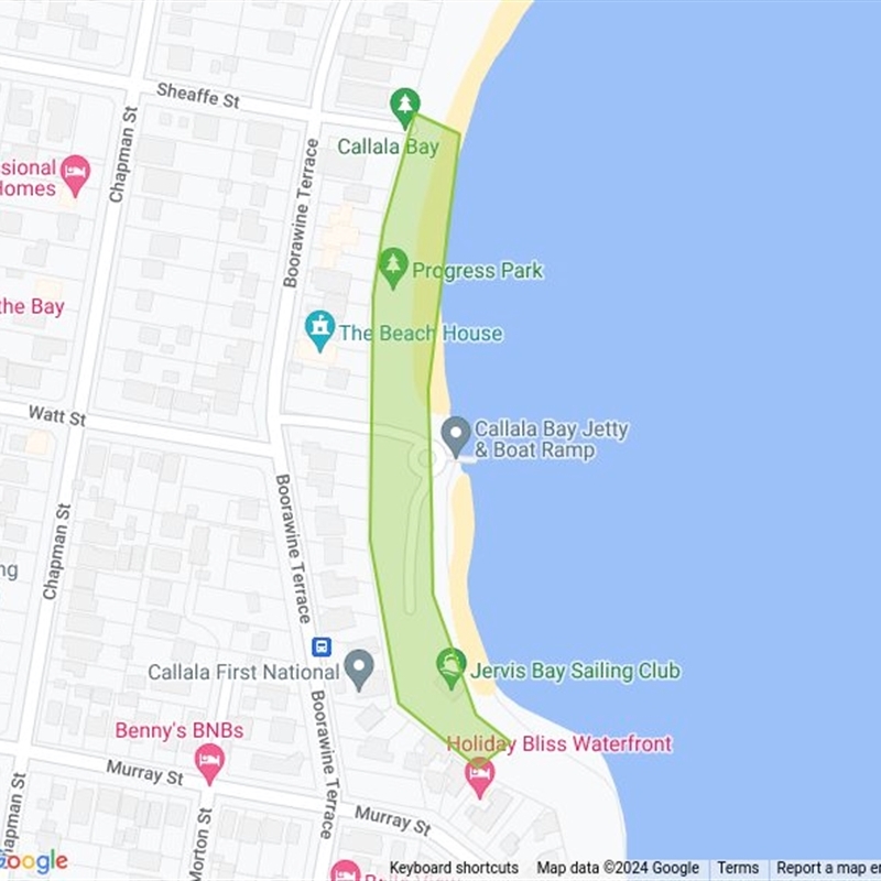 Callala Boat Ramp Bushcare field guide