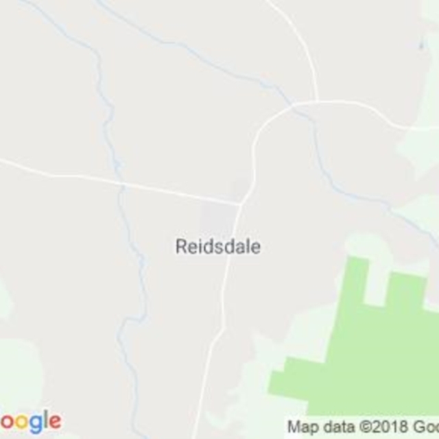 Reidsdale, NSW field guide