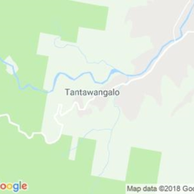 Tantawangalo, NSW field guide