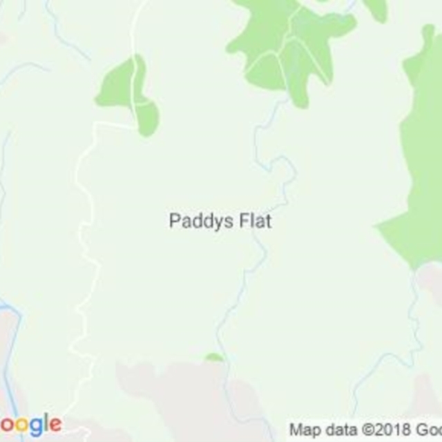 Paddys Flat, NSW field guide